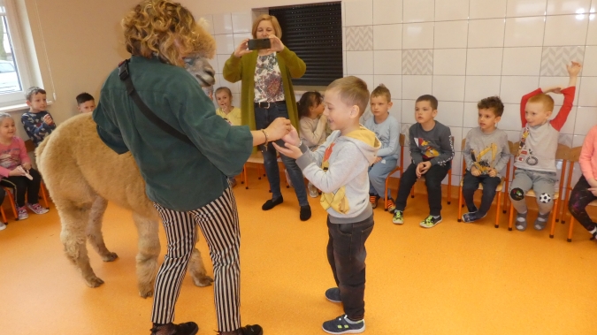 Amir i Nuri