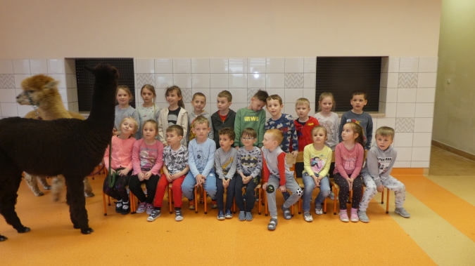 Amir i Nuri