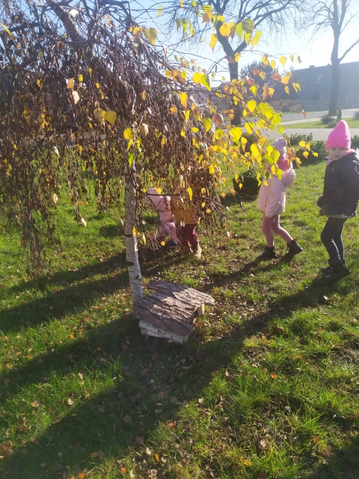 Domek dla jeża