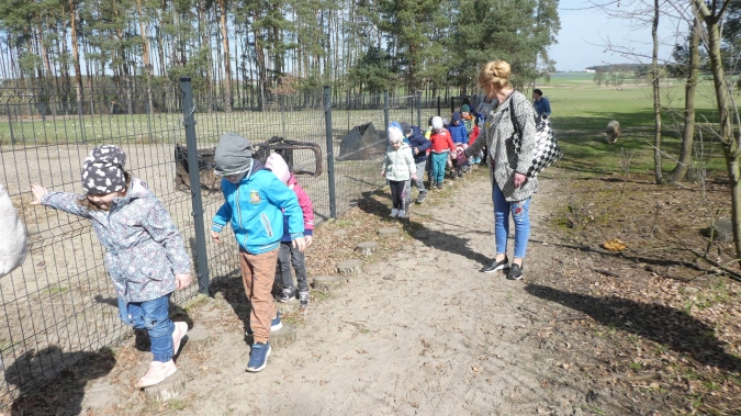 W Zagrodzie Białego Królika