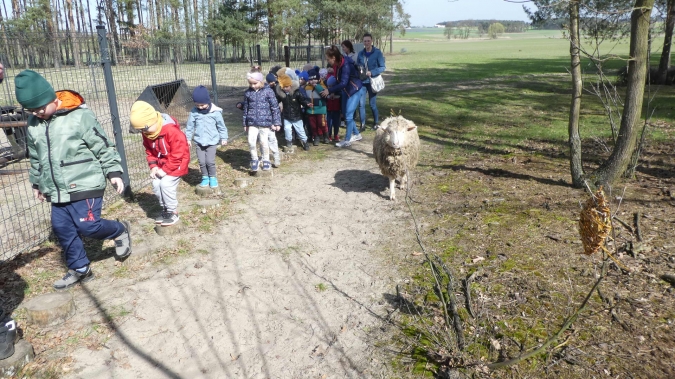 W Zagrodzie Białego Królika