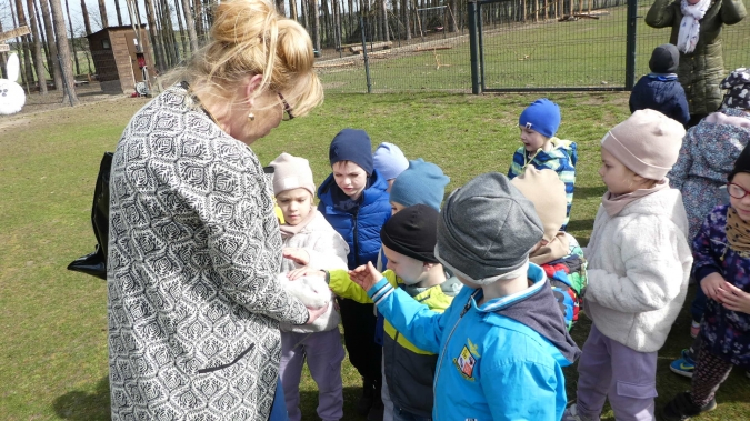 W Zagrodzie Białego Królika