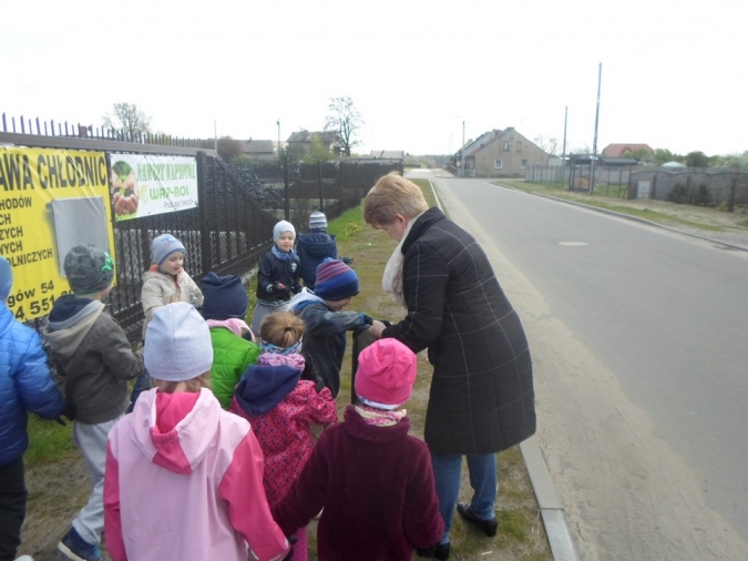 Ekostrażnicy