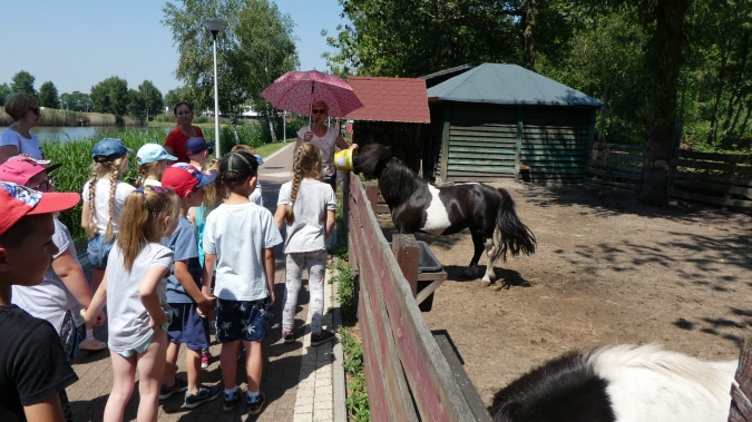 Dzień Dziecka na Góreczniku